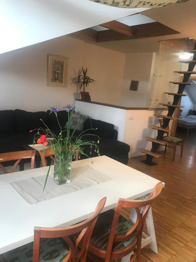 Apartman Slovinska 28 Brno Exteriör bild
